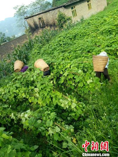 �ҷ��������ڵ������������ܷ��߹�ͼ ��