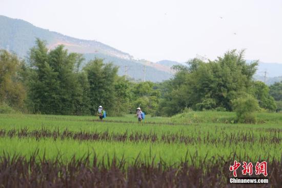 ����ͼ��ũ�����ڻ���ˮ������ܰ ��