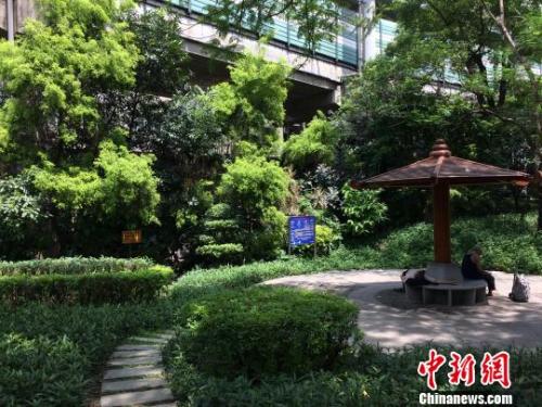 ���ݶ��ӿͨ�����۽������������̬���������������������Ĺ�԰ ����� ��