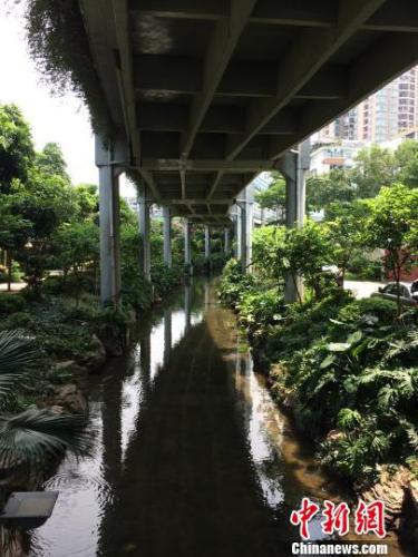 ���κ�Ķ��ӿ��̬�Ѿ��ָ�����Ⱥ�ܲ� ����� ��