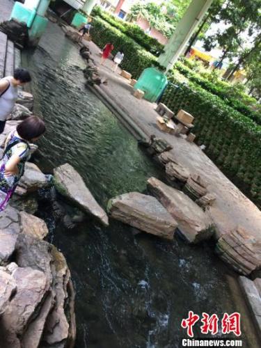 ���ݶ��ӿ����ǰȥ���������񡡲���漡���