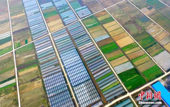 2��16�գ��紺ʱ�ڣ�����ʡ��������ˮ����ˮ�������л��߲���ֲ԰���ⰻȻ����Ϊ�л��߲���ɫС�򣬽�ˮ�������������������ũҵ��Ӫ���壬����������ͷ��ҵ��ũ��רҵ����ɫ��ͥũ�����쵱��ũ���¸���Ŀǰ���˷�չũҵ��ֲҵ�⣬������ũҵ�۹⡢��̬�Ļ����Ρ�ũ��Ʒ��ӹ����ۺ���Ŀ���߲�԰�������߲˴���1000�������ֲ�˽��ٸ��߲�Ʒ�֣���ƷԶ���Ϻ����۰ĵ������ܲ�ֵ����Ԫ�� �Դ��� ��