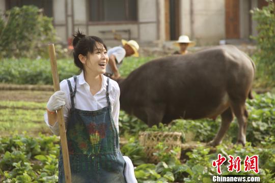 ͼΪ������Ӣ�����򵥰׳�������������������Ƭ��������������ͼ ��