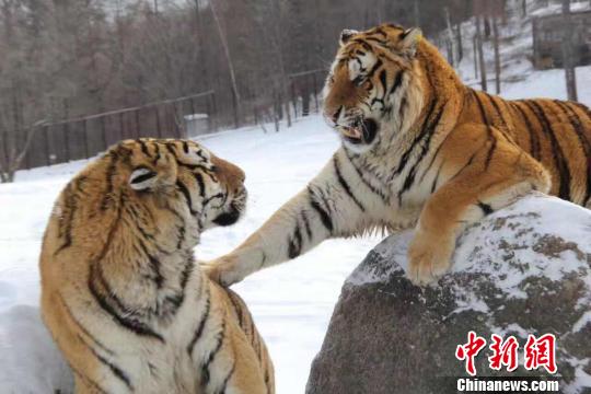 �������·羰�����ϻ���(����ͼ) �Թ� ��