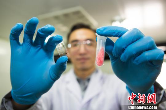 ���ʸ�������ʵ������ý��չʾ�����·��֡������� ��