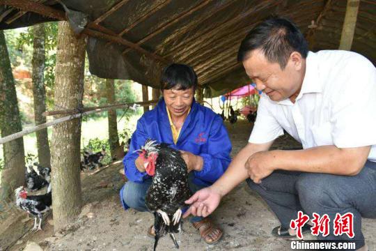 ����ͼ��2018��7��31�գ����쳤���ƶ�ɲ����ܹ���������ֳ����������鸣 ��