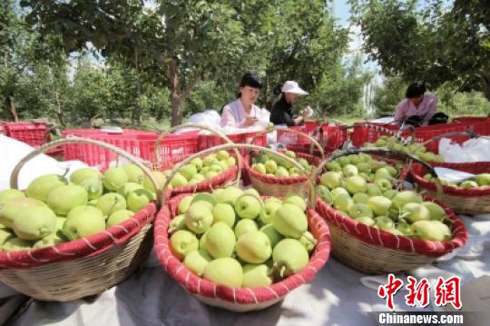 ������ũ�Բɿ�������档�����»� ��