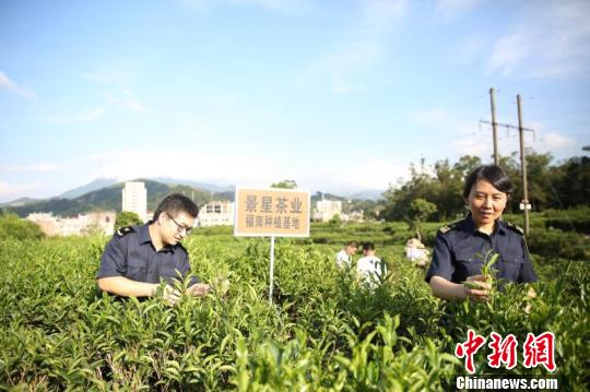 ���ڲ�Ҷ��ֲ���ر����ֳ����󡣳��ݺ��ع�ͼ