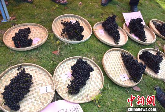 8��23�գ��޳��ؾ���ë�����ʹ������������������ ��