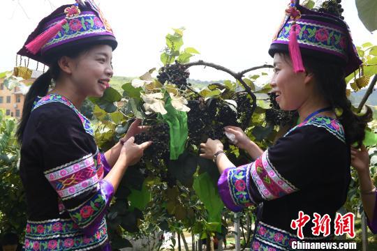 8��23�գ��޳���������������ë���ѡ���Τ��� ��