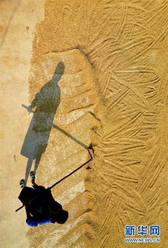  8��21�գ��Ŵ�������ɹ���ȡ��»�����ߺ�������