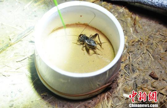 ͼΪ���ش���׽�����󰡣����ѧ�� ��