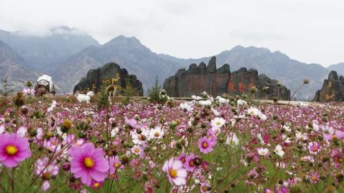 ��մ���⡣��ί�ṩͼ